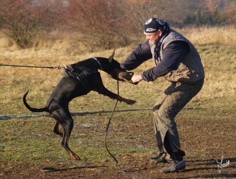 The christmas training 27.12.2006